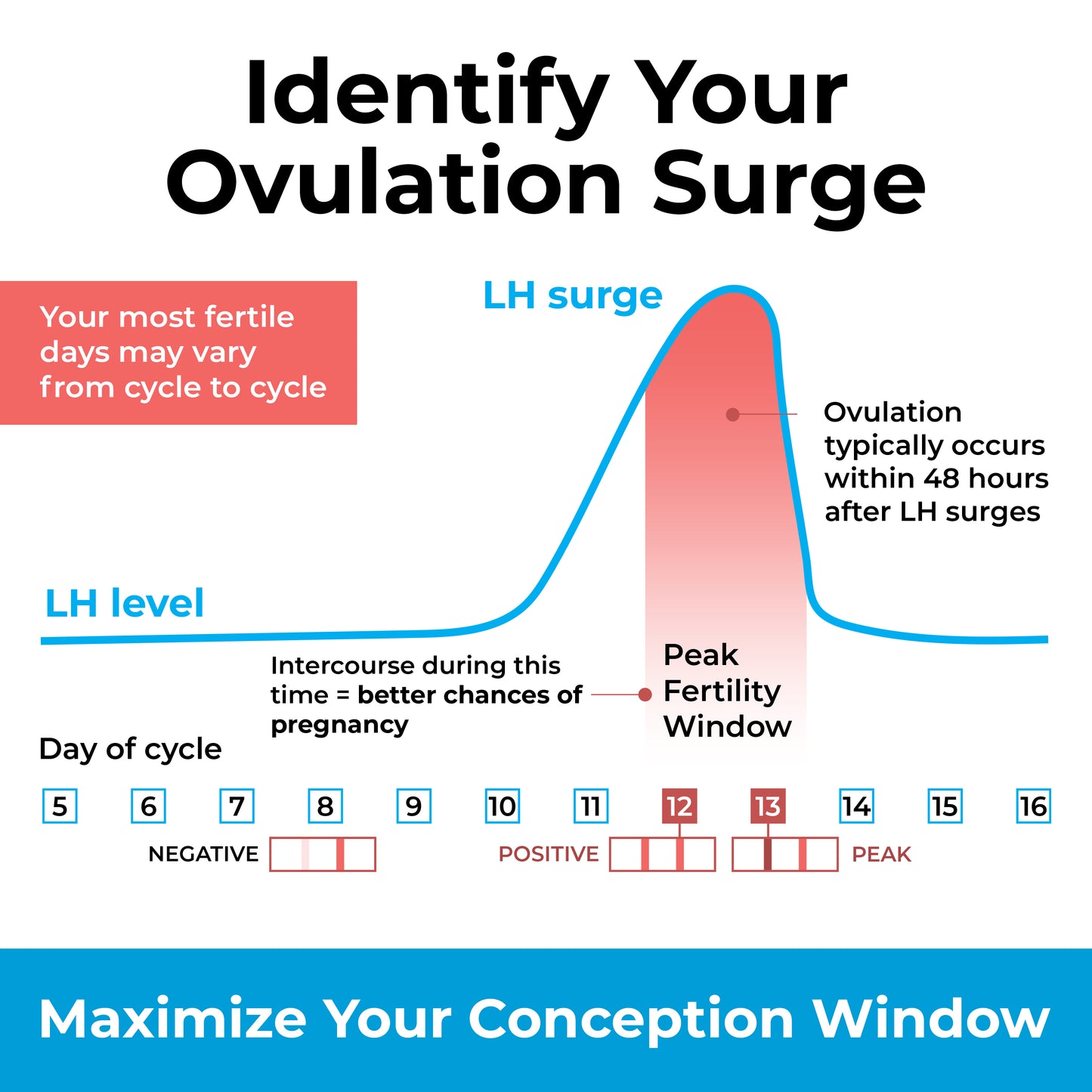 Ovulation Test Strips