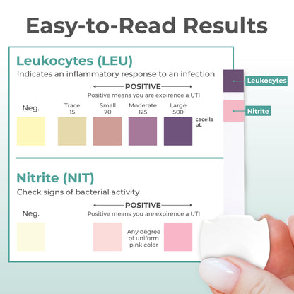 Urinary Tract Infection UTI Rapid Home Test